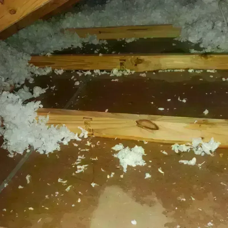 Attic Water Damage in Manchester, TN