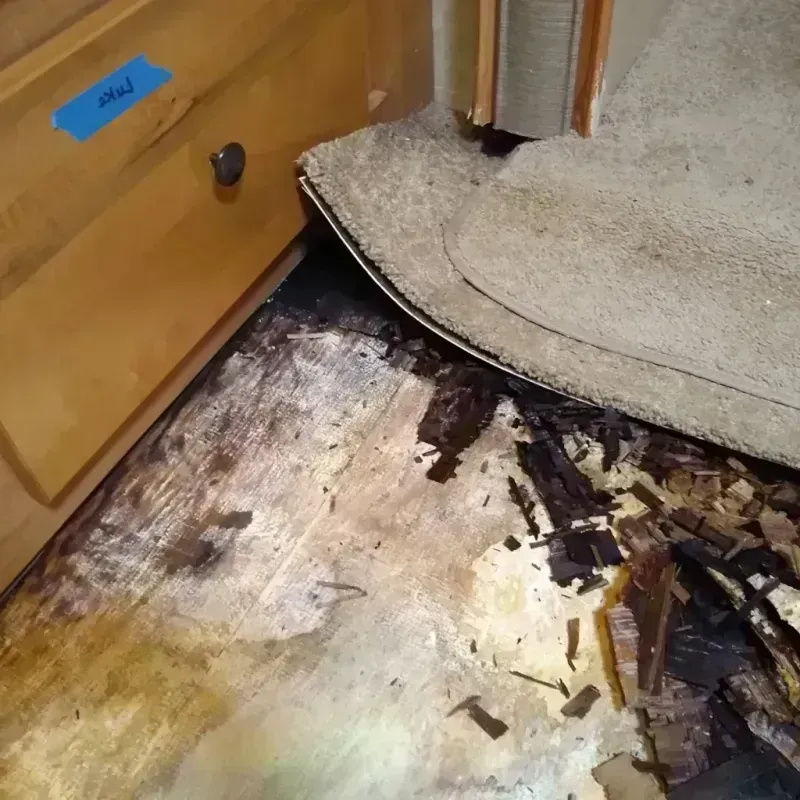 Best Wood Floor Water Damage Service in Manchester, TN